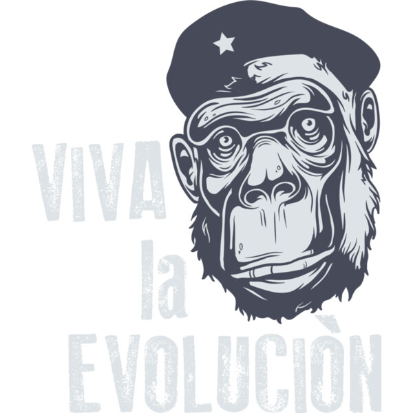 2016 03 14 025 Thumbnail